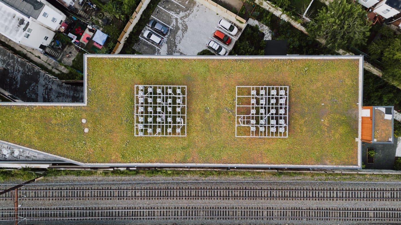 Toiture végétalisée extensive recouverte de plantes basses